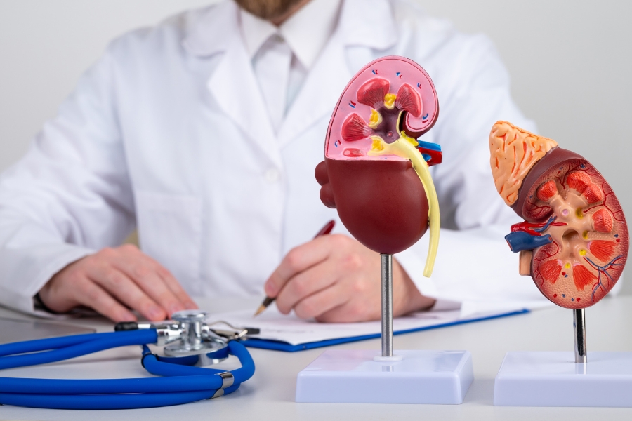 Hypertension & Kidney Health – Tips to Protect Both